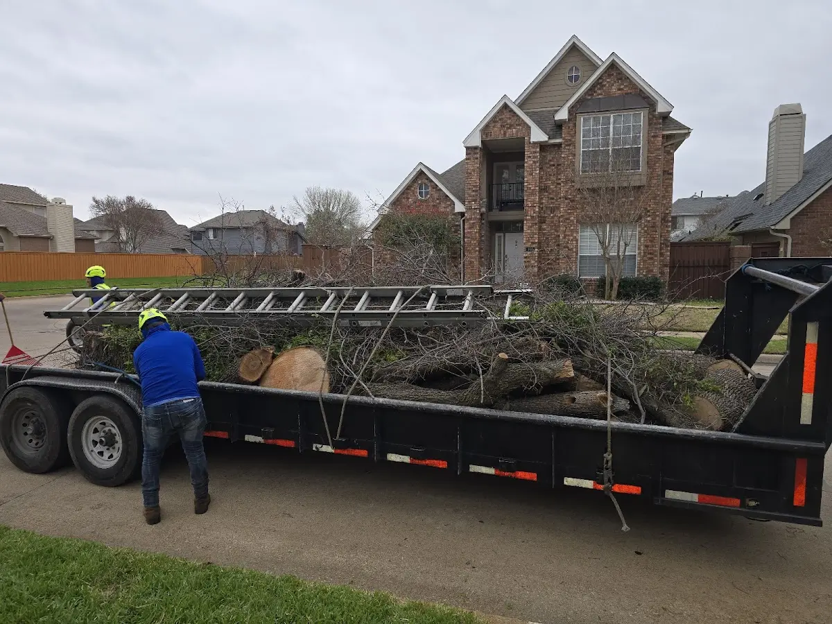 Expert Tree Fertilization with proper safety equipment in Fairburn